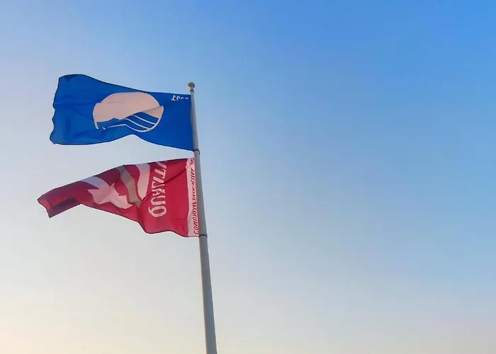 Jacaranda Ii By Costa * Dénia